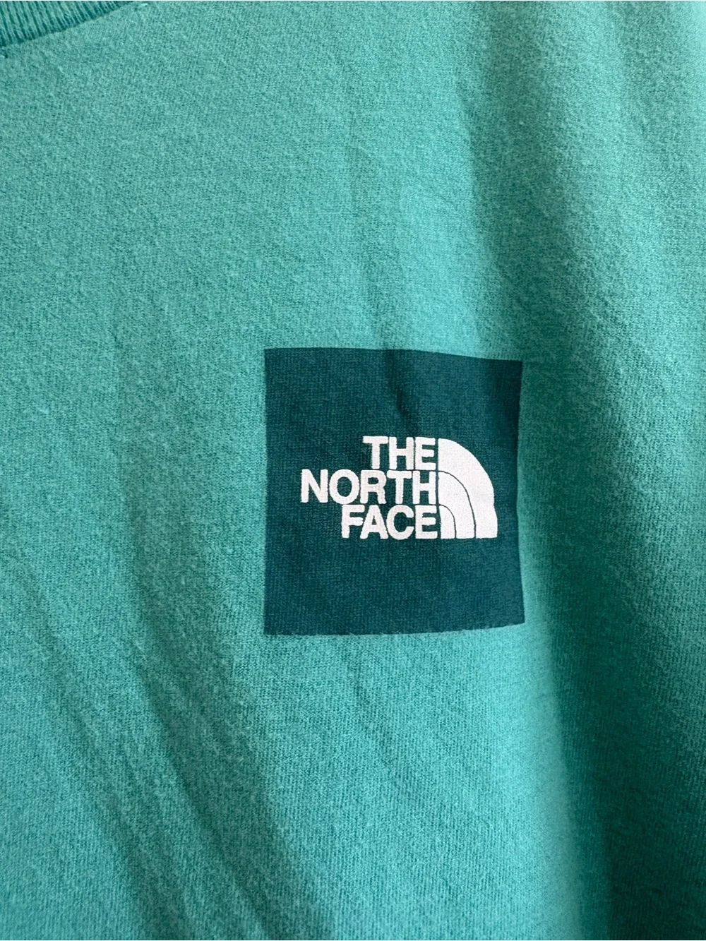 The North Face Men's Short Sleeve Tee in Teal Green